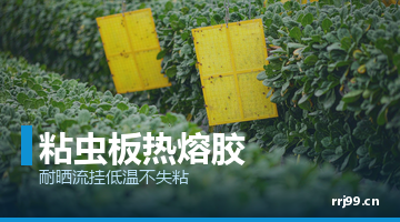 热熔胶,邦林热熔胶
